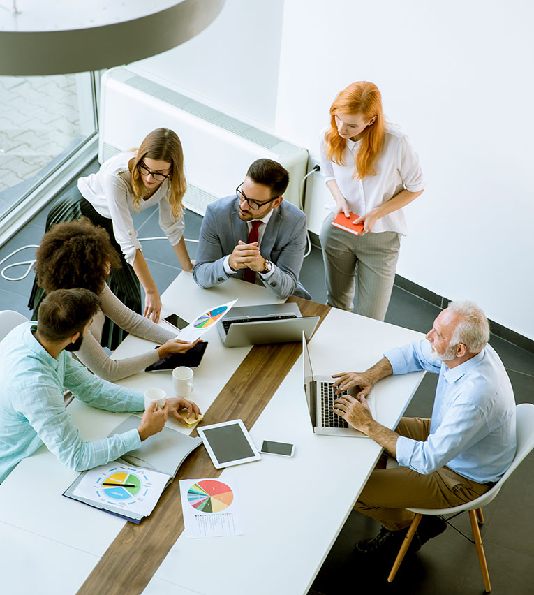 Inter Punkt Proiect System